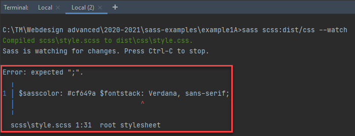 CodePen - error in terminal